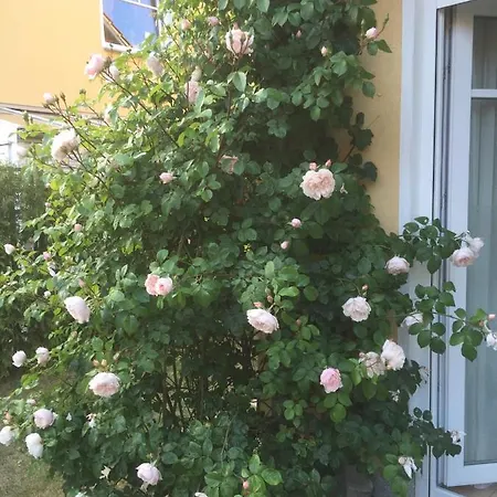 Holiday home Meeresbrise Graal-Mueritz