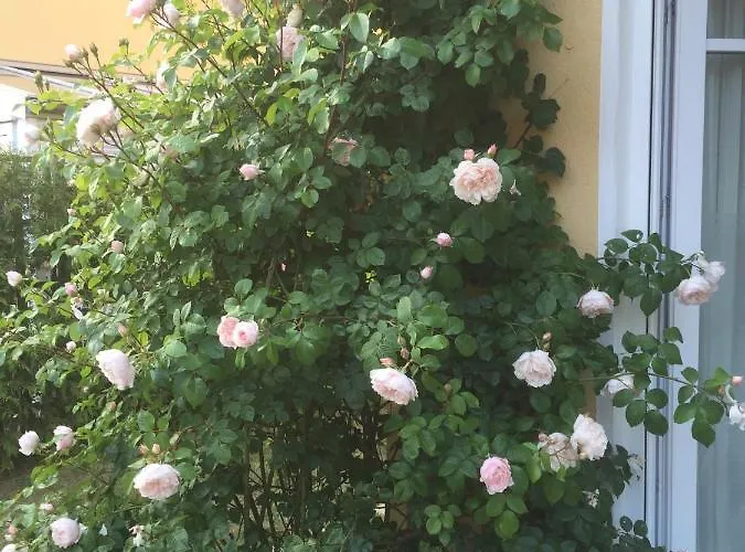 度假居 Meeresbrise 格拉尔-米里茨